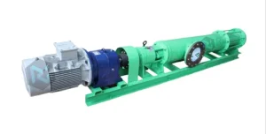 Cavity Pump